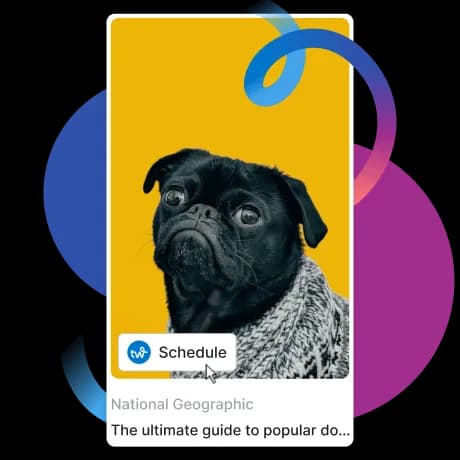 A Pin being scheduled from a web page with one click